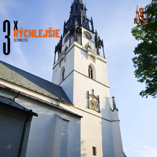 tepovanie tigris snv